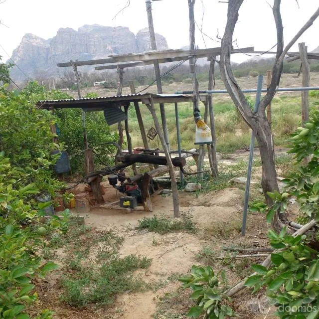 TERRENO AGRICOLA 28 (VENTIOCHO) HECTAREAS EN PLANO, (SECTOR HUMEDADES) UBICADO A 15 MIN DE LA PLAZA DE ARMAS DE MOTUPE-LAMBAYEQUE. - 5