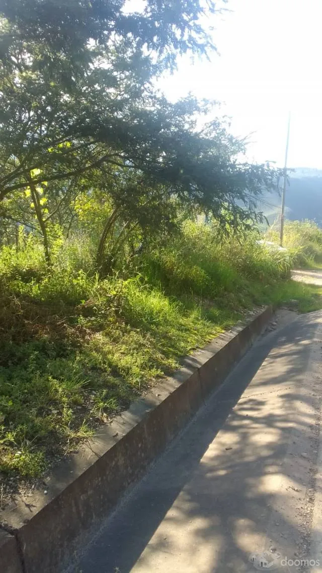 Se vende un terreno ubicado, en el sector molino, al costado de la iglesia evangelica, Junto a la pista principal. Numero de Contacto: 910401756 - 4