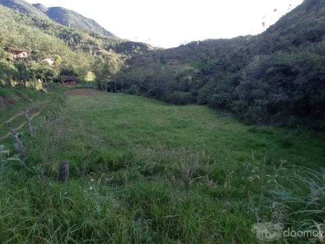 Se vende un Hermoso Terreno ubicado frente al hotel Puyu Wasi, Apto para sembrar cualquier tipo de ortalizas, llamame o escribeme al WhatsApp: 943 985 362 - 4