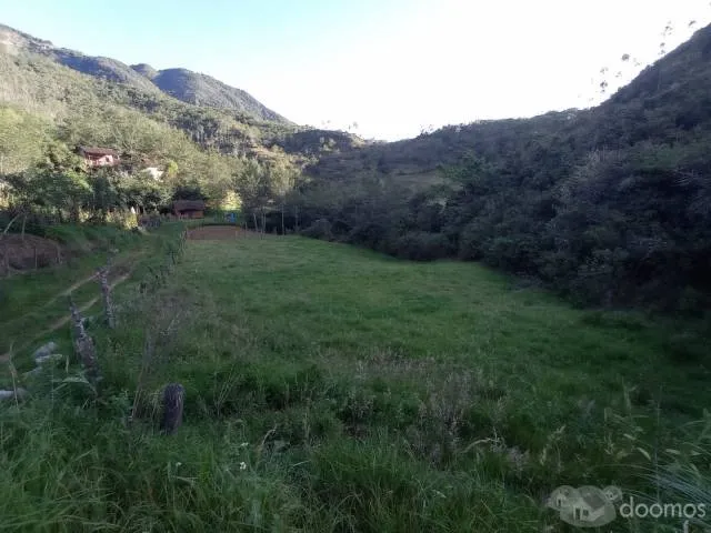 Se vende un Hermoso Terreno ubicado frente al hotel Puyu Wasi, Apto para sembrar cualquier tipo de ortalizas, llamame o escribeme al WhatsApp: 943 985 362 - 5