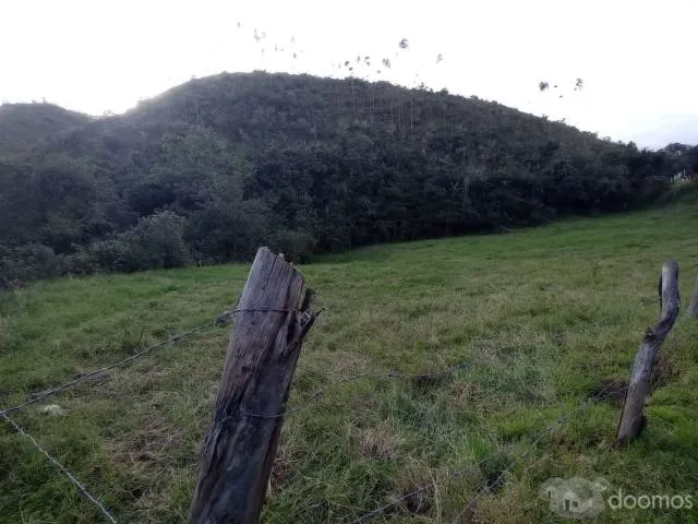 Se vende un Hermoso Terreno ubicado frente al hotel Puyu Wasi, Apto para sembrar cualquier tipo de ortalizas, llamame o escribeme al WhatsApp: 943 985 362 - 6