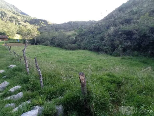 Se vende un Hermoso Terreno ubicado frente al hotel Puyu Wasi, Apto para sembrar cualquier tipo de ortalizas, llamame o escribeme al WhatsApp: 943 985 362 - 7