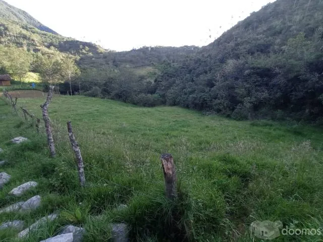 Se vende un Hermoso Terreno ubicado frente al hotel Puyu Wasi, Apto para sembrar cualquier tipo de ortalizas, llamame o escribeme al WhatsApp: 943 985 362 - 8
