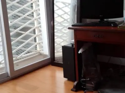 Miniatura 7