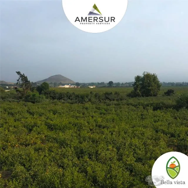 TERRENO PARA CASA DE CAMPO A 7 MINUTOS DE HUARAL — foto 2