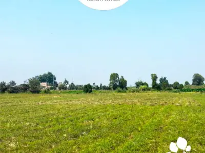 TERRENOS DE 300 M2 EN HUARAL