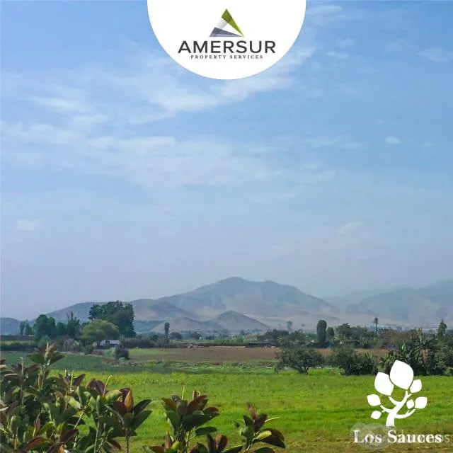 TERRENOS DE 300 M2 EN HUARAL — foto 2
