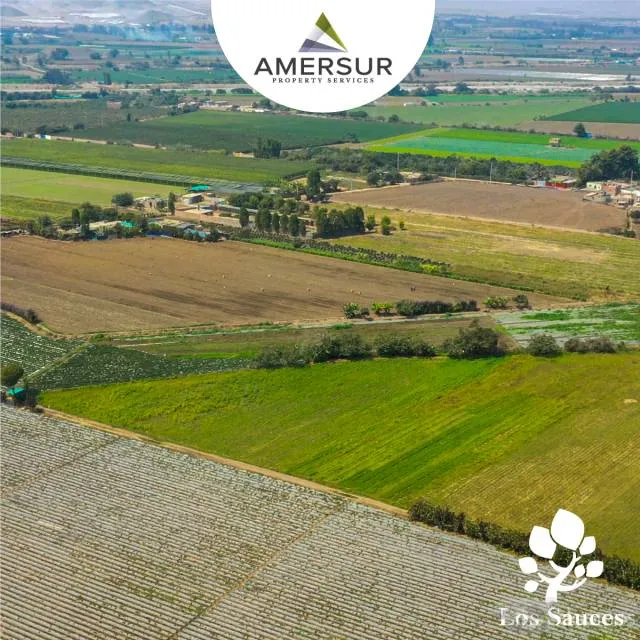 TERRENOS DE 300 M2 EN HUARAL — foto 3
