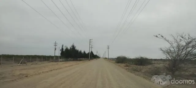 VENTA TERRENO AGRICOLA EN OLMOS 180 Has colinda con PEOT - 1