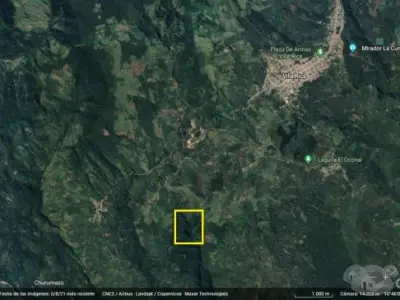 Venta de Terreno Agrícola 32.41 ha en Villa Rica - Oxapampa