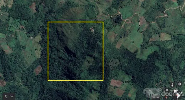 Venta de Terreno Agrícola 32.41 ha en Villa Rica - Oxapampa - 2