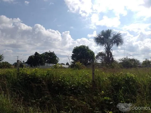Terreno en Venta- Los Tulipanes del Km 6- a 2 cuadras de la Urbanizacion Municipal. — foto 8