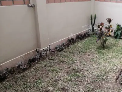 Departamentos en estreno