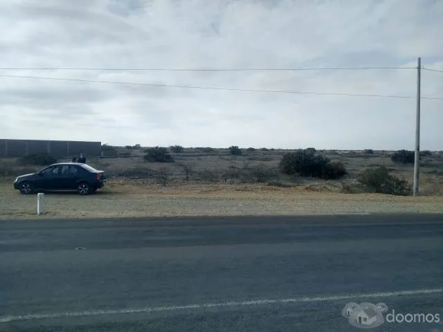 Se vende 2.0 hectáreas de terreno Colán - 3