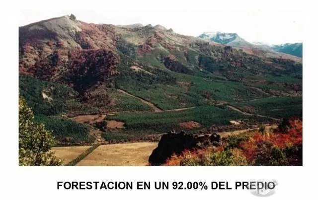 OCASIÓN VENDO TERRENO EN ANCASH 1.827.00 HA - 3