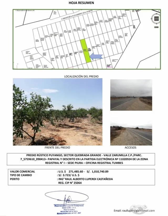 Terreno Con Producción Adulta De Naranja Huando, Único En Tumbes - 5