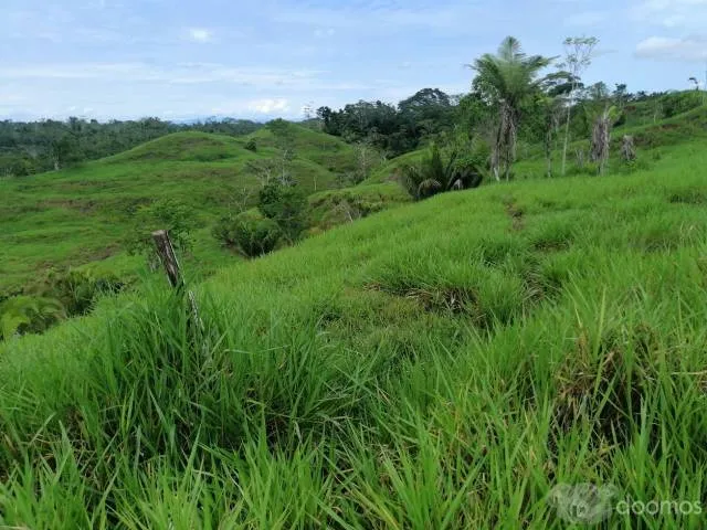 TERRENO 30 -  90  - 200 HECTAREAS - UCAYALI — foto 2