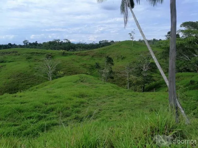 TERRENO 30 -  90  - 200 HECTAREAS - UCAYALI — foto 5