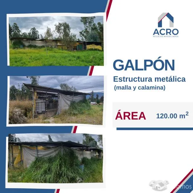 TERRENO + CASA + GALPON + RESERVORIO — foto 5