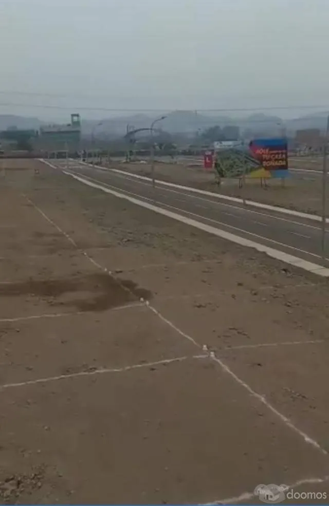 TRASPASO TERRENO EN LOS FICUS DE CARABAYLLO ETAPA IV - 1