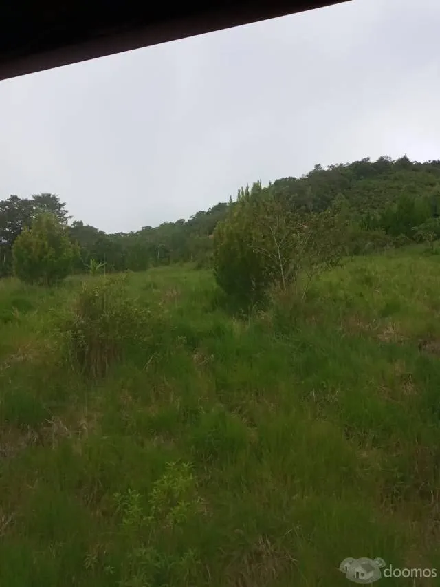 Precioso terreno de 7 ha en Quillazu Oxapampa - 1