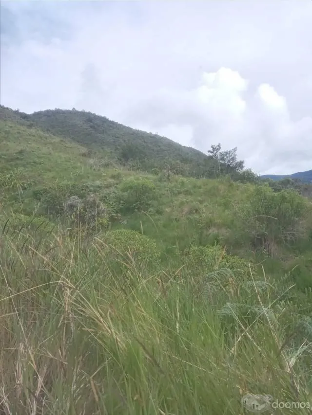Precioso terreno de 7 ha en Quillazu Oxapampa - 4