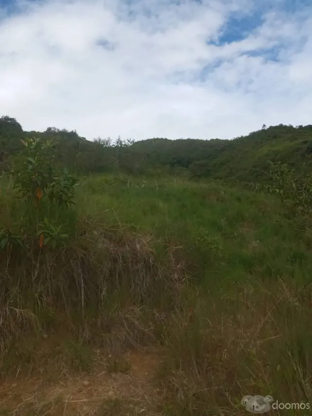 Precioso terreno de 7 ha en Quillazu Oxapampa - 5