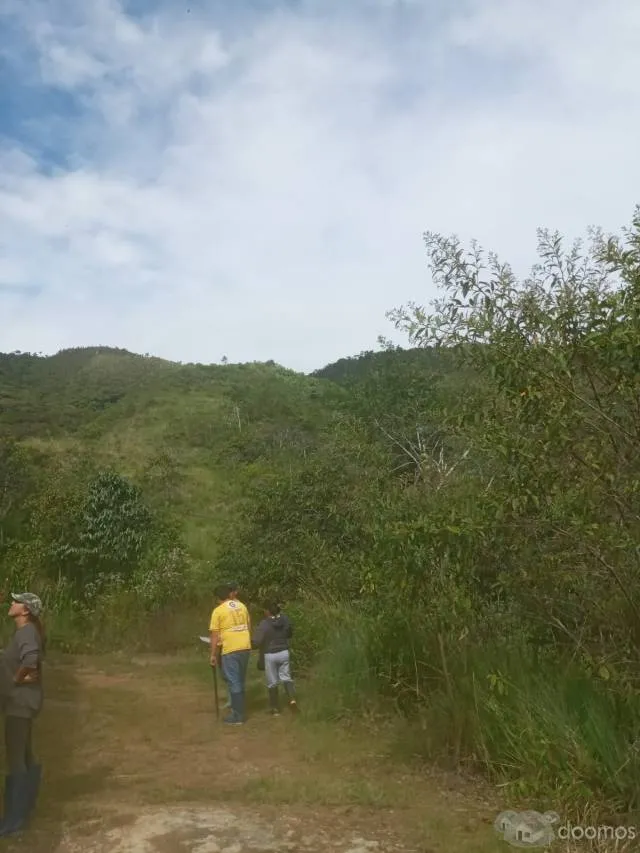 Precioso terreno de 7 ha en Quillazu Oxapampa - 7