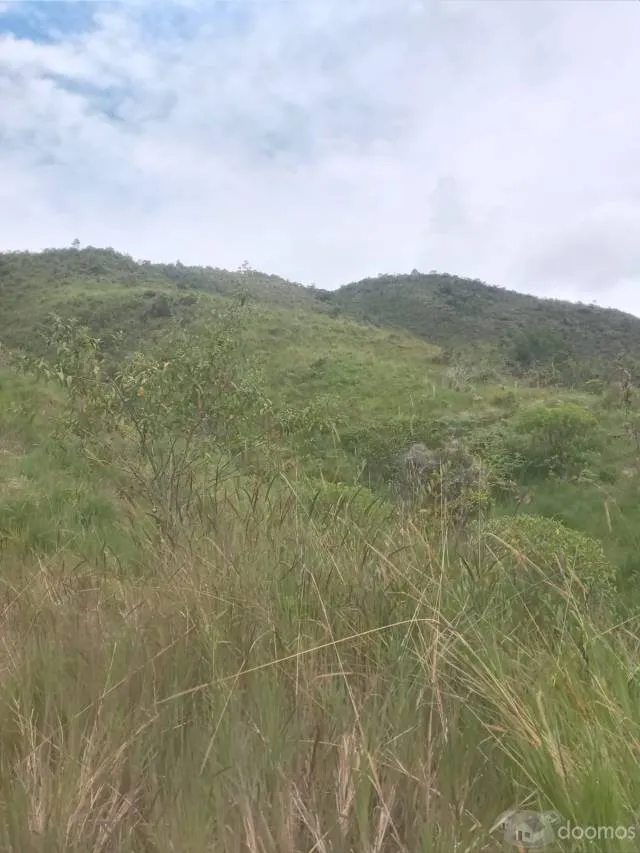 Precioso terreno de 7 ha en Quillazu Oxapampa - 9