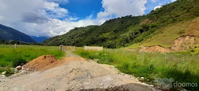 Precioso terreno con vivienda de 2mil m2 en Chontabamba, Oxapampa - 4