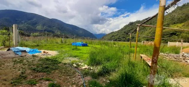 Precioso terreno con vivienda de 2mil m2 en Chontabamba, Oxapampa - 5