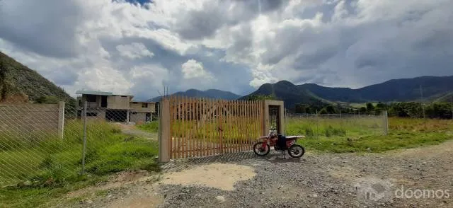 Precioso terreno con vivienda de 2mil m2 en Chontabamba, Oxapampa - 9