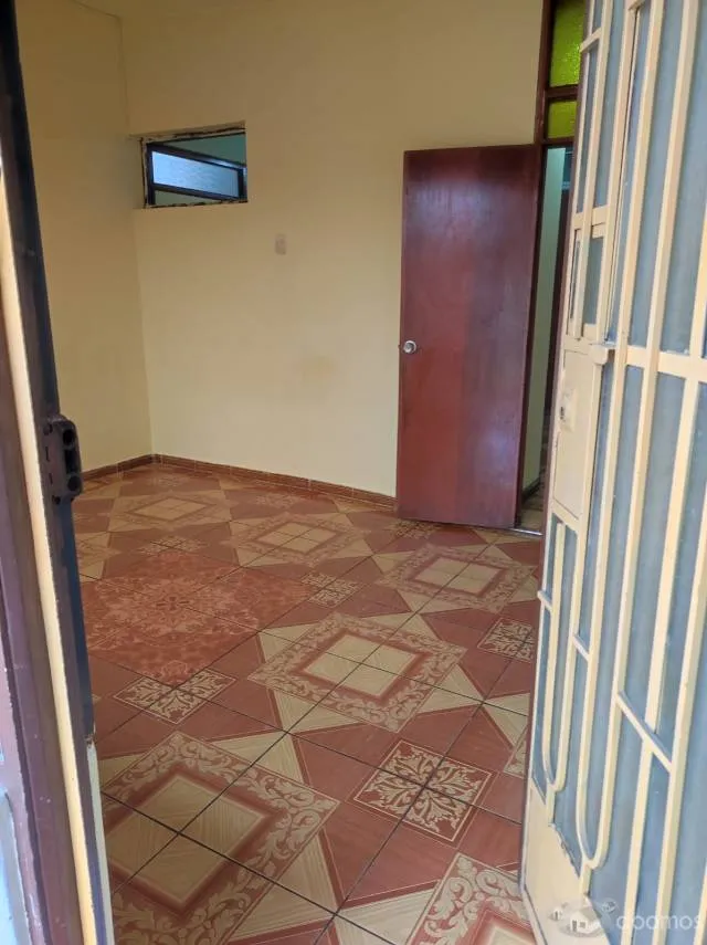 se alquila mini departamento en el distrito de los olivos — foto 5