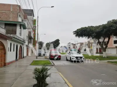 Miniatura 10