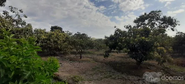 VENTA DE TERRENO IDEAL PARA CASA DE CAMPO - 1