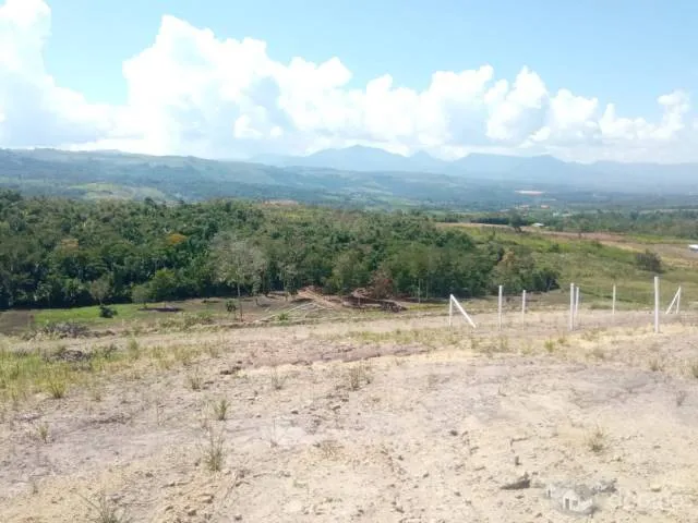 Terrenos en Tarapoto - Lotes en Región San Martín - Proyecto Villa Paraiso - 2