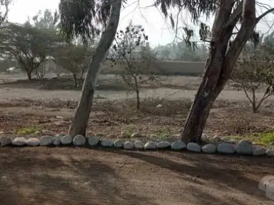 Vendo Terreno En Bello Condominio. Entre Cieneguilla Y Pachacamac - 1,020 M2