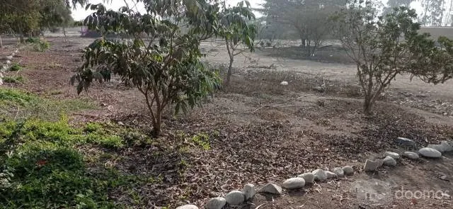 Vendo Terreno En Bello Condominio. Entre Cieneguilla Y Pachacamac - 1,020 M2 — foto 2