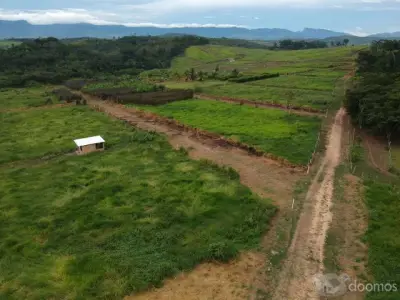 TERRENO EN VENTA TARAPOTO A 15 MINUTOS DE AEROPUERTO