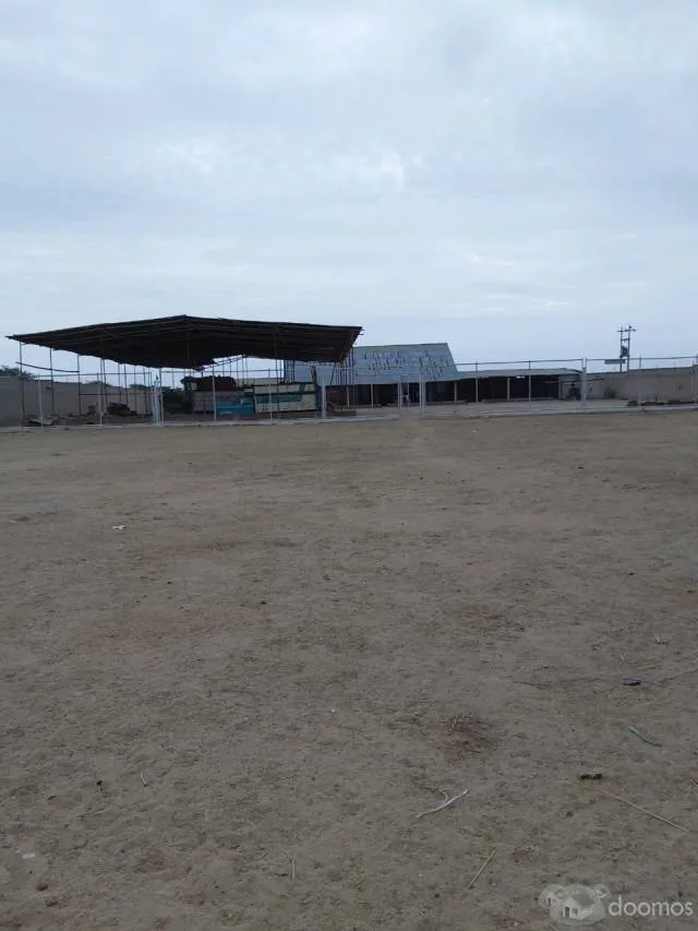 SE VENDE LOCAL COMERCIAL - 5