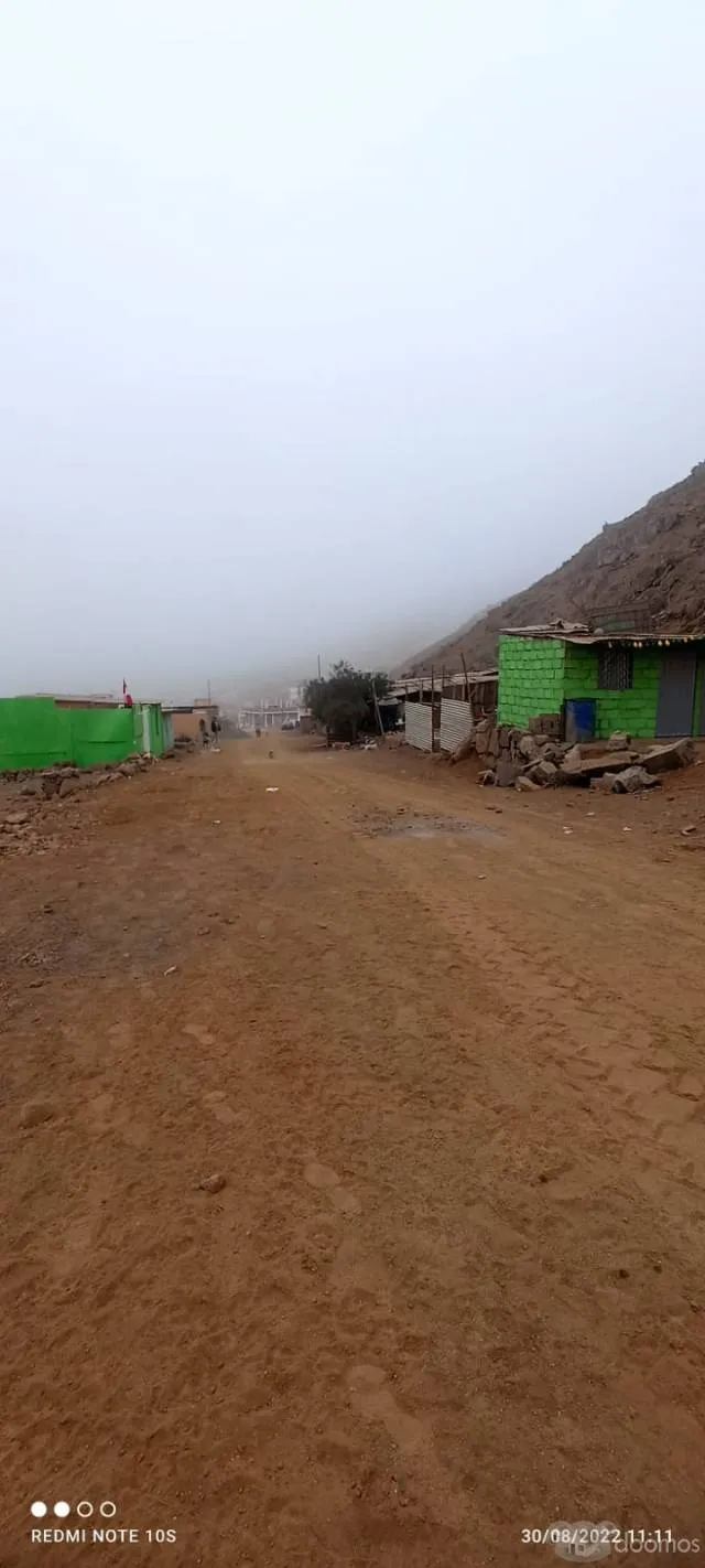 Venta de lotes de 120m2 ,en avenida. - 2
