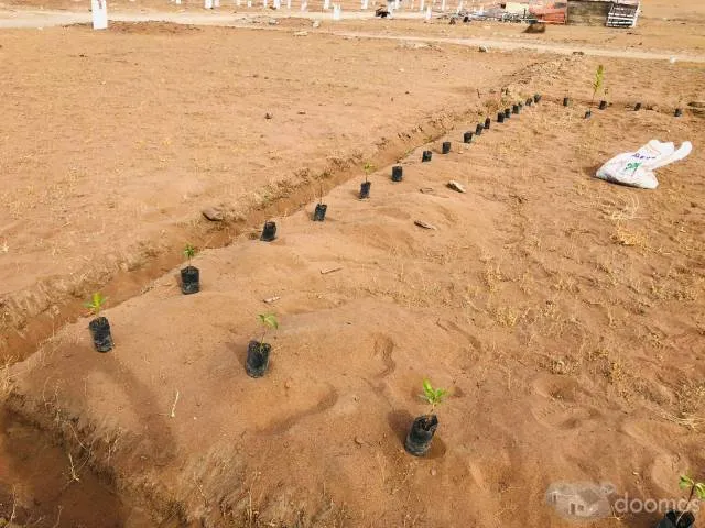 Se Vende Terreno de Playa en Mejía - 7