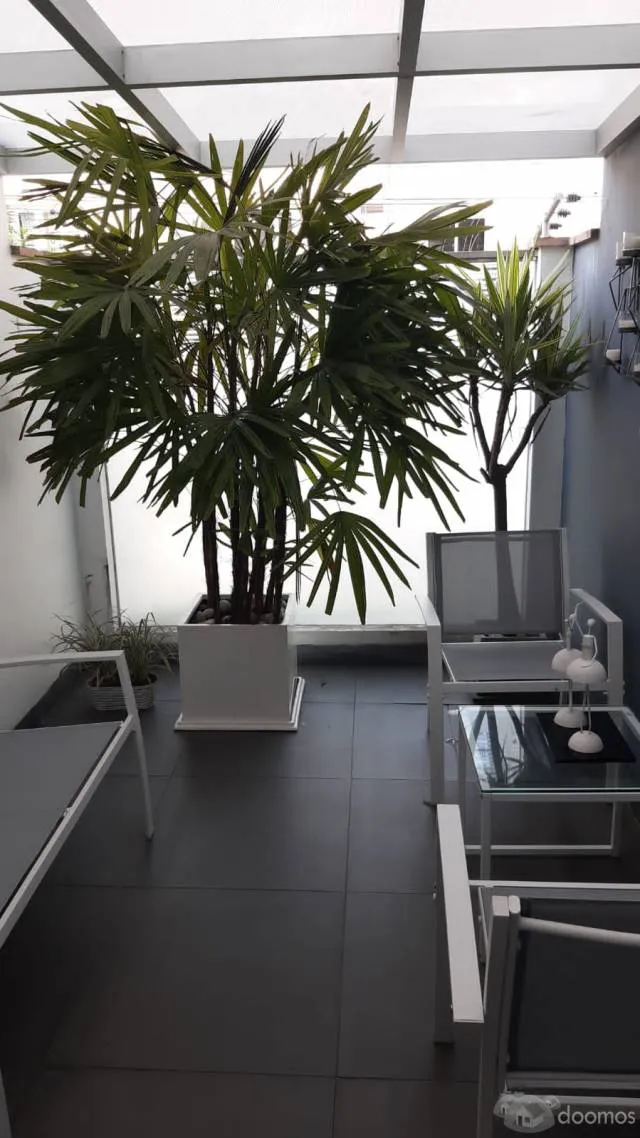 alquiler departamento miraflores — foto 4