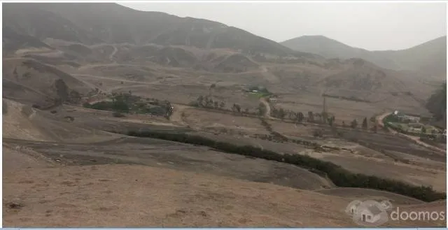 parcela pachacamac venta - 5
