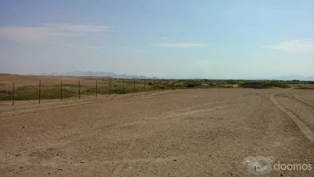 Vendo 6.55 hectáreas en Playa Lagunas en Chiclayo (Mocupe) - 3