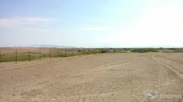 Vendo 6.55 hectáreas en Playa Lagunas en Chiclayo (Mocupe) - 4