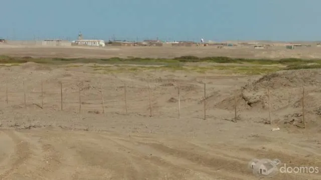 Vendo 6.55 hectáreas en Playa Lagunas en Chiclayo (Mocupe) - 5