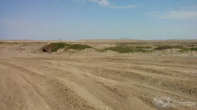 Vendo 6.55 hectáreas en Playa Lagunas en Chiclayo (Mocupe) - 6