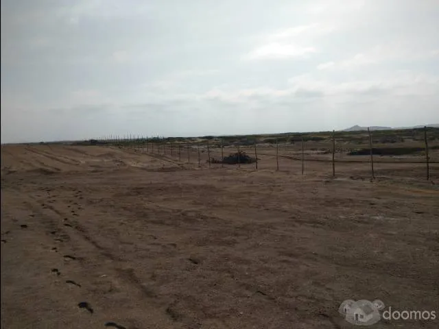 Vendo 6.55 hectáreas en Playa Lagunas en Chiclayo (Mocupe) - 7