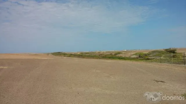 Vendo 6.55 hectáreas en Playa Lagunas en Chiclayo (Mocupe) - 8